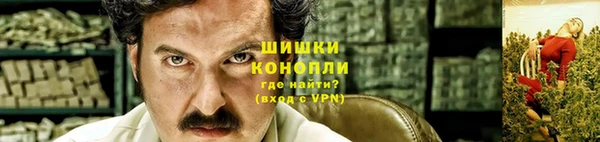 сатива Горно-Алтайск