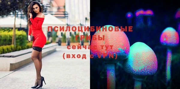 меф Нягань