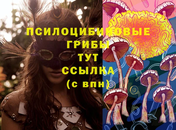 меф Нягань
