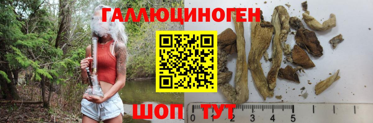 Галлюциногенные грибы Psilocybe Краснотурьинск