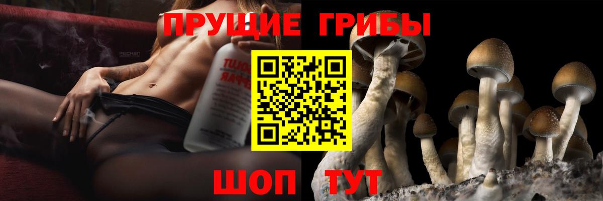 Псилоцибиновые грибы MAGIC MUSHROOMS  Вход с VPN  Псилоцибиновые грибы Psilocybe  Краснотурьинск 